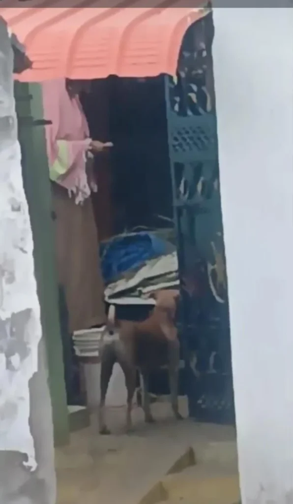 சட்டவிரோத மது விற்பனை செய்யும் பெண்கள் : ஷாக் வீடியோ வைரல்