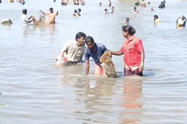 கல்லூர் ஏரியில் மீன்பிடித் திருவிழா : குவிந்த கிராம மக்கள்