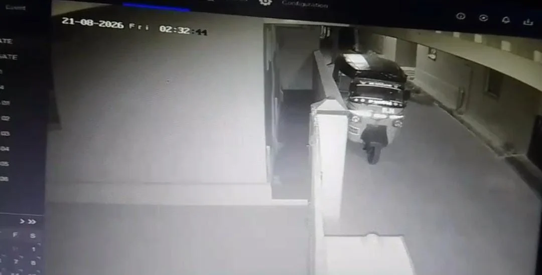 அச்சுறுத்தும் மர்ம விலங்கு : பீதியில் பொதுமக்கள்