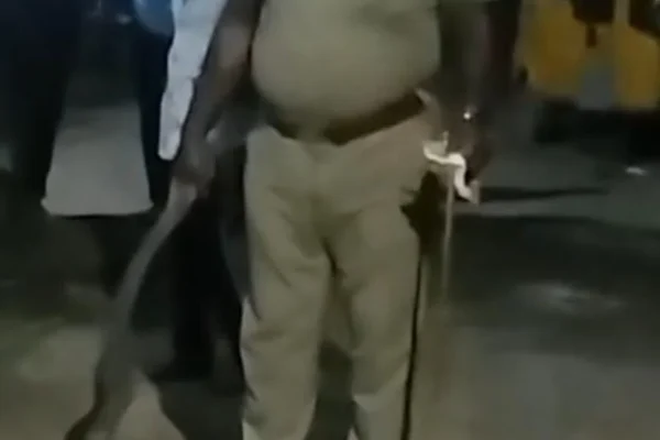 பாம்பை அடித்து கொன்ற எஸ்.ஐ : சமூக வலைதளங்களில் பாரட்டும், விமர்சனமும்