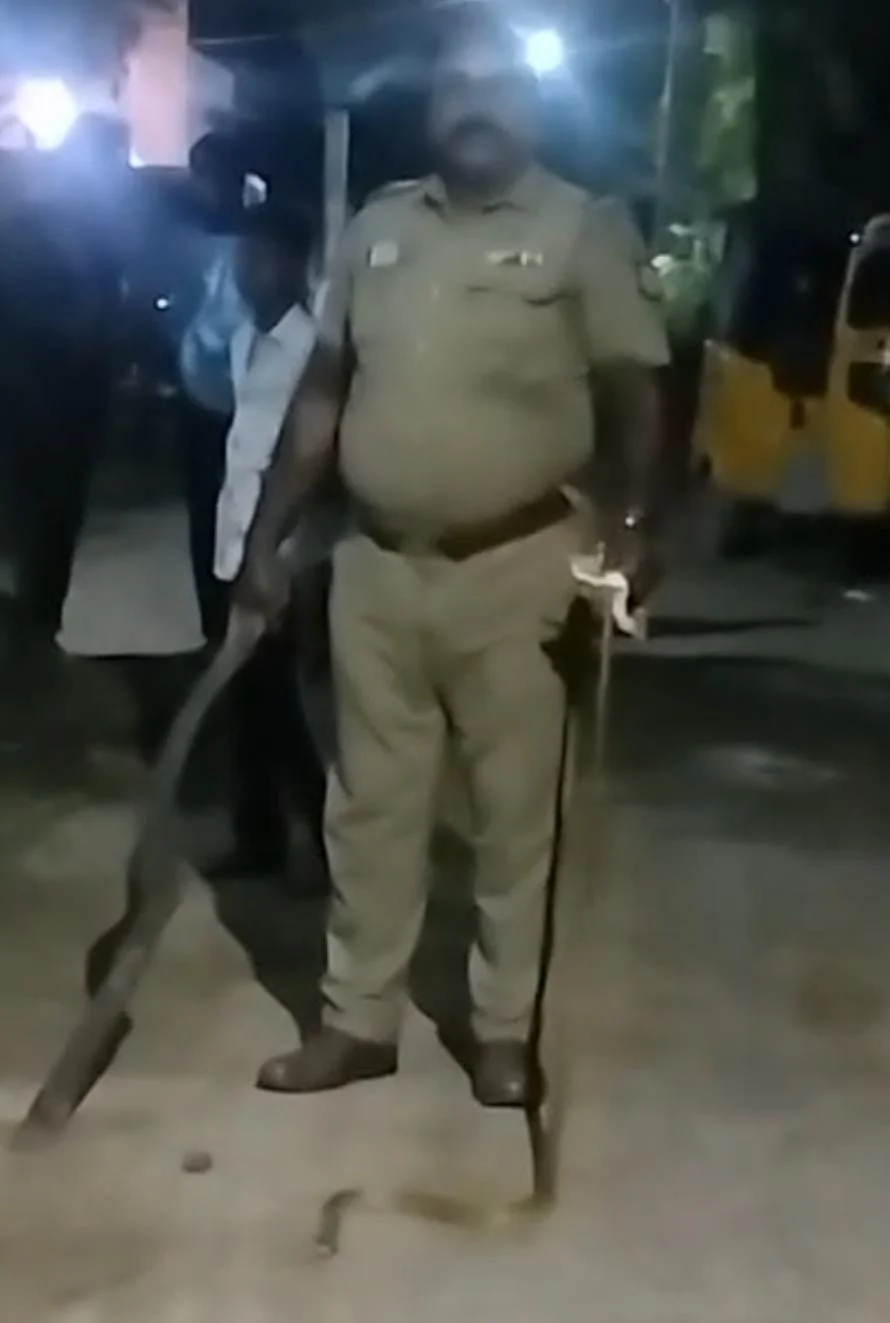 பாம்பை அடித்து கொன்ற எஸ்.ஐ : சமூக வலைதளங்களில் பாரட்டும், விமர்சனமும்