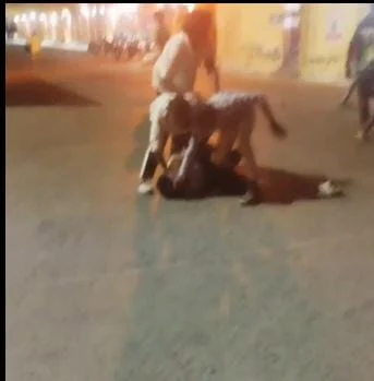 மதுபாட்டிலை உடைத்து தாக்கிய கும்பல் : பேருந்து நிலையத்தில் அராஜகம்