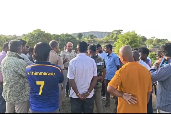 காட்டுப்பன்றிக்கு வைத்த வெடி வெடித்து பசுமாடு படுகாயம்: நடவடிக்கை எடுக்கக்கோரி வாக்குவாதம்