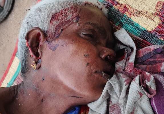கடலூரில் மூதாட்டி கொ** : போலீசார் விசாரணை