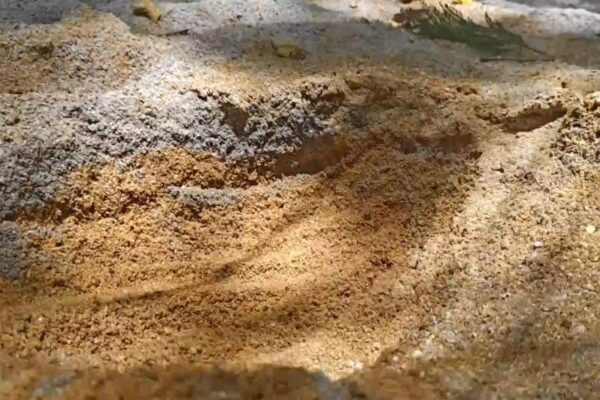 எம் சாண்டுக்குள் ஆற்றுமணல் : நூதன மணல் கடத்தல், ஒருவர் கைது, தொடர் குற்றவாளிக்கு வலை