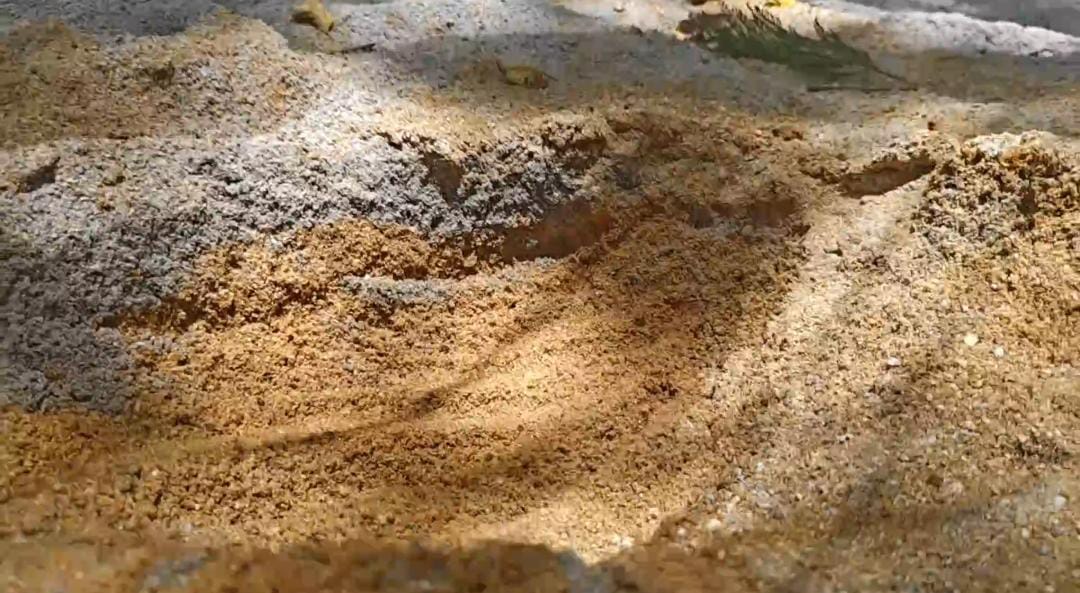எம் சாண்டுக்குள் ஆற்றுமணல் : நூதன மணல் கடத்தல், ஒருவர் கைது, தொடர் குற்றவாளிக்கு வலை