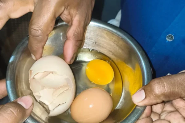 முட்டைக்குள்ளே முட்டை : கோட்டக்கலில் வினோத முட்டையிட்ட கோழி