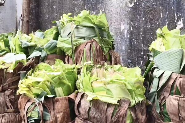 வாழை இலை விலை கிடுகிடு உயர்வு : ஆண்டிப்பட்டியில்ஒரு கட்டு வாழை இலை ரூ.6000க்கு விற்பனை