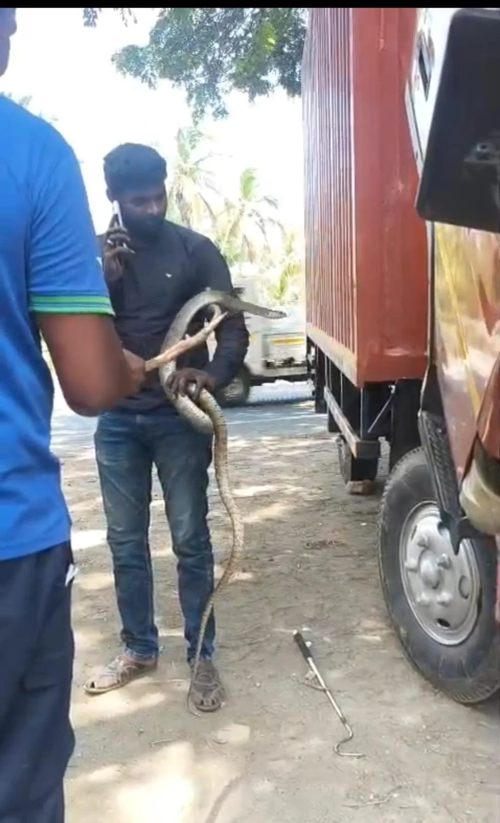 பயம் காட்டிய பாம்பு : சரக்கு வேன் இன்ஜினில் பதுங்கிய 8 அடி நீள சாரை மீட்பு