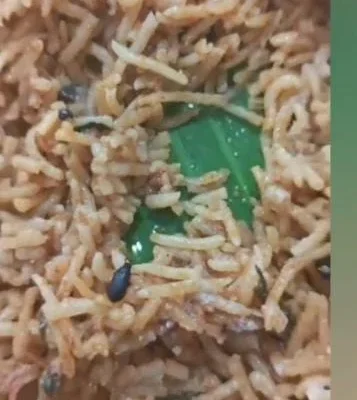 பிரியாணியில் வண்டு, சாப்பிட சொன்ன ஹோட்டல் நிர்வாகி : கடையை மூடிய அதிகாரிகள்