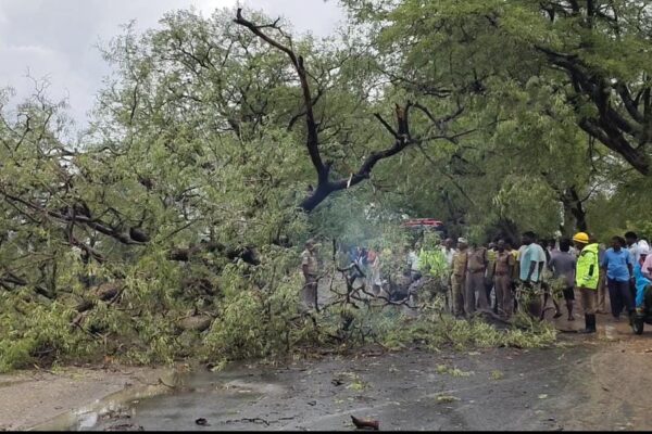 துறையூரில் கனமழை – மரங்கள் வேரோடு சாய்ந்து போக்குவரத்து பாதிப்பு!
