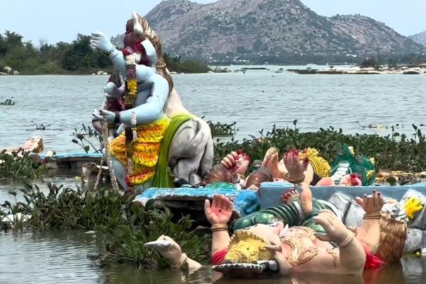கே ஆர் பி அணையில் கரை ஒதுங்கிய விநாயகர் சிலைகள் : விவசாயிகள் வேதனை