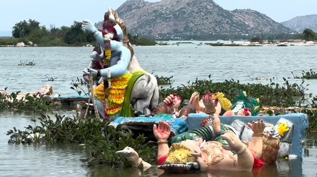கே ஆர் பி அணையில் கரை ஒதுங்கிய விநாயகர் சிலைகள் : விவசாயிகள் வேதனை